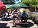 Arreton White Lion 005