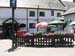 Arreton White Lion 006