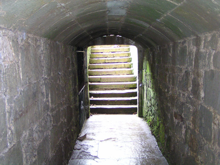 Appuldurcombe House 018