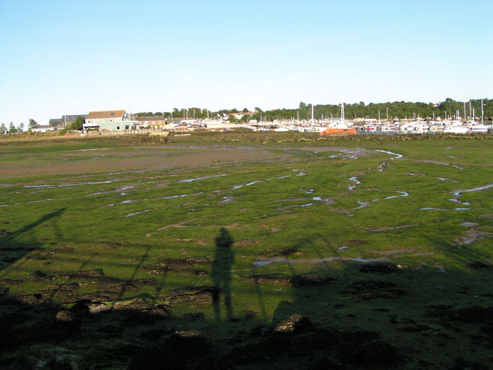 Bembridge 003