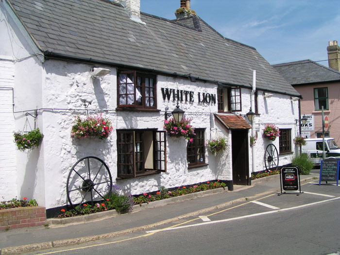Niton White Lion 004
