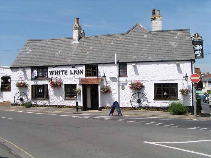 Niton White Lion 005