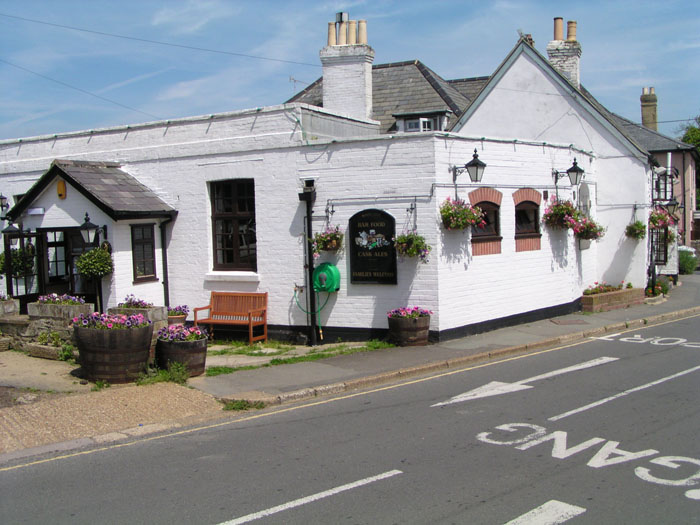 Niton White Lion 006