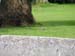 Appuldurcombe House 015