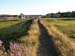 Bembridge 001