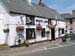 Niton White Lion 004