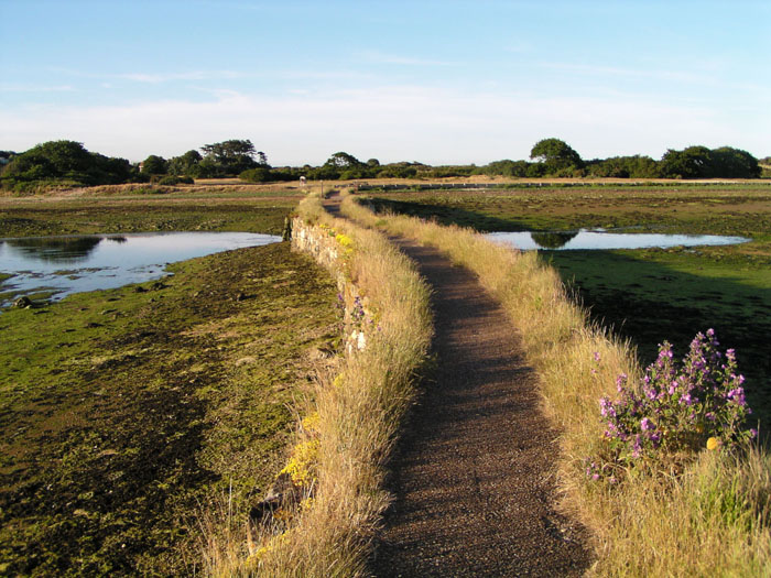 Bembridge 005