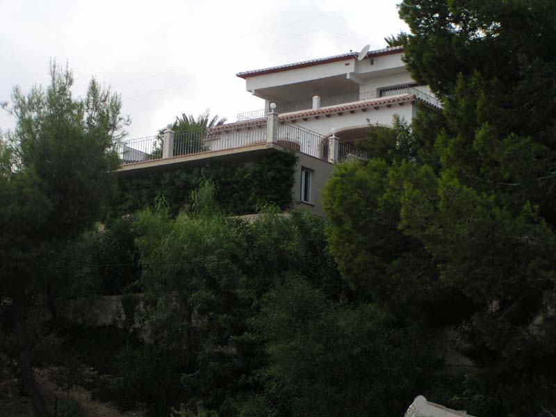 Andrea from distance 11