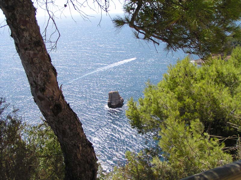Cap Negre 13