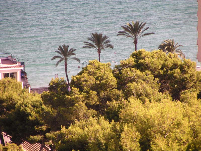 Javea Port 08