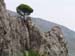 Guadalest 03