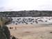 St Ives 007