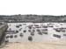 St Ives 008