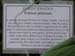 Whitecross Hardy Exotics Nursery 003