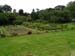Godolphin House 010