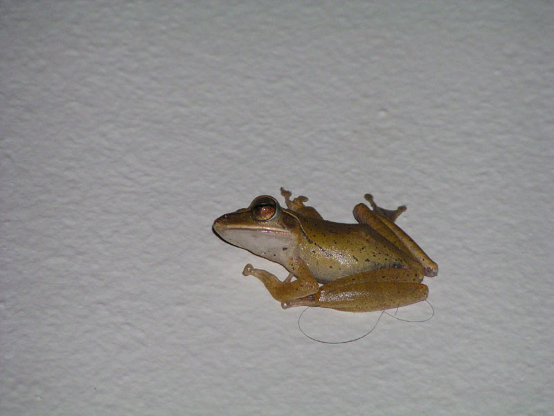 P4260210