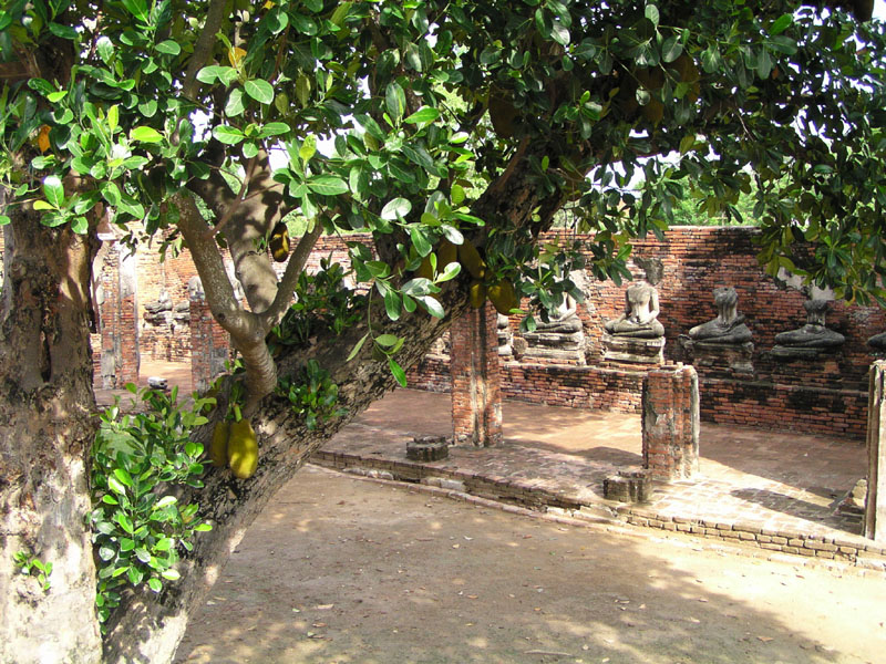 P4160257