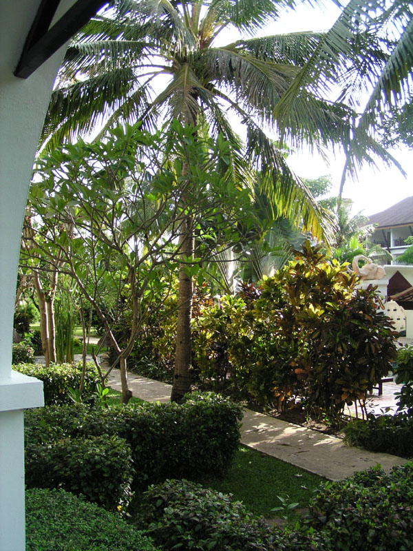 P4200039