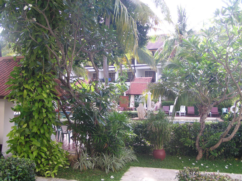 P4200041