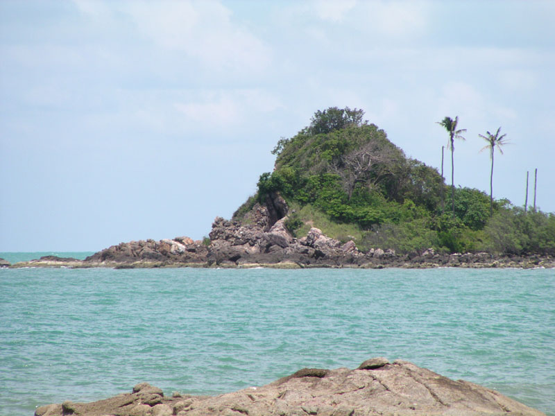P4200069