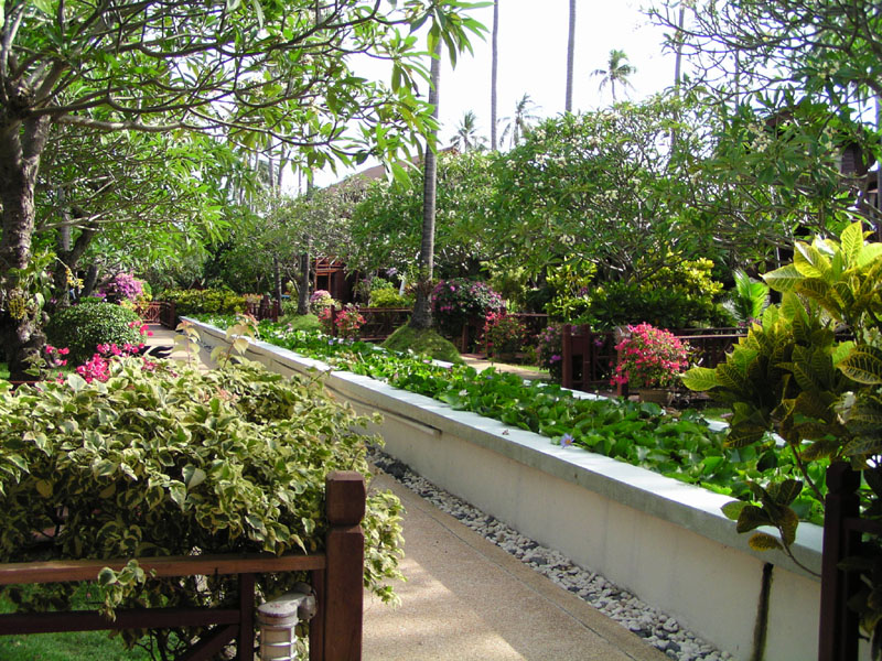 P4200081