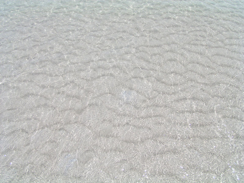 P4250179