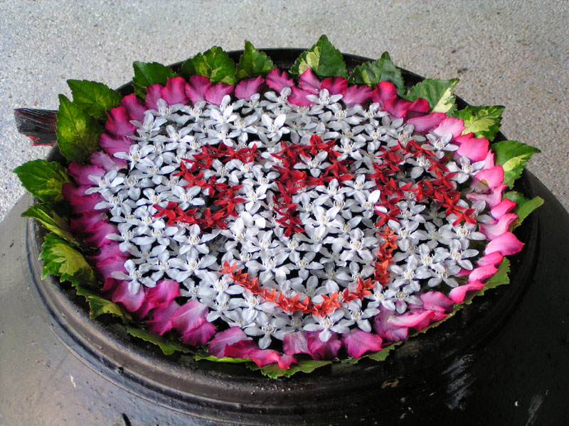 P4270215