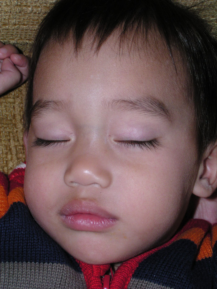 P1040010